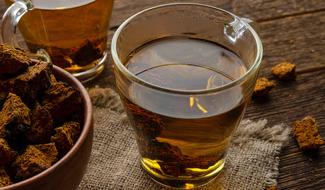 Are Chaga Mushrooms Good for You? What You Need to Know
